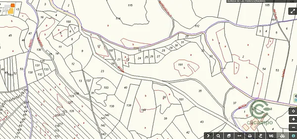 Spot image