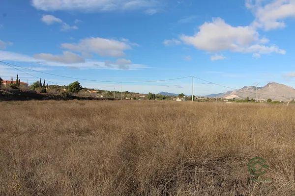 Spot image