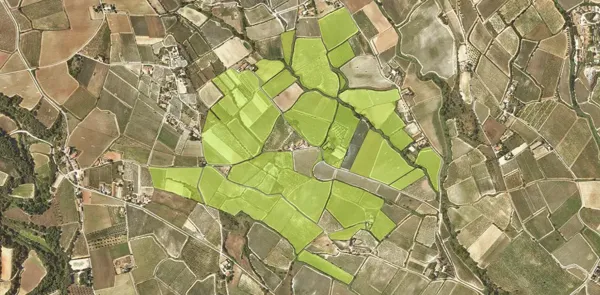 Spot image