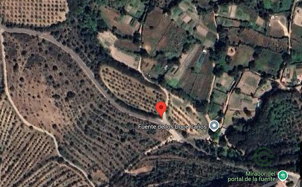 Spot image