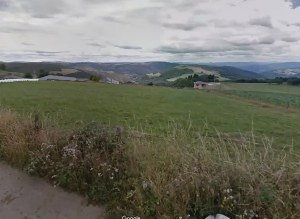 Spot image