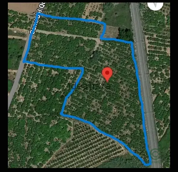 Spot image