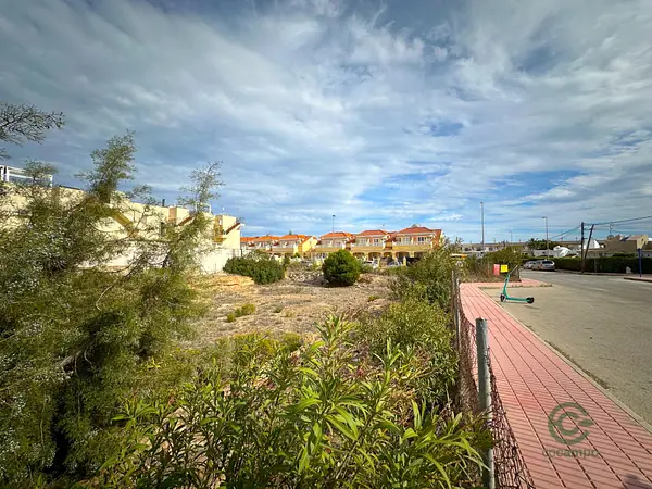Spot image
