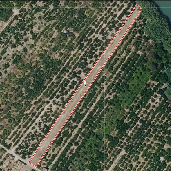 Spot image