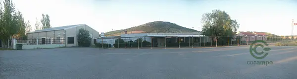 Spot image