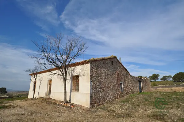 Spot image