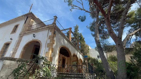 Spot image