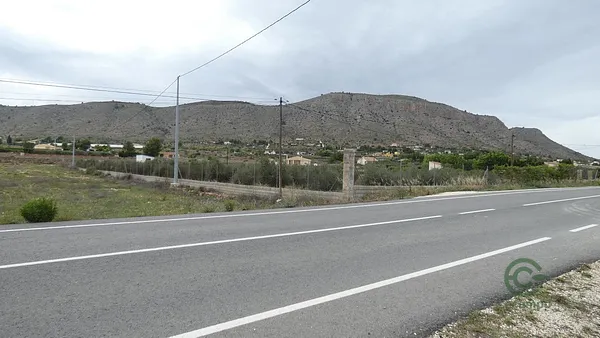 Spot image