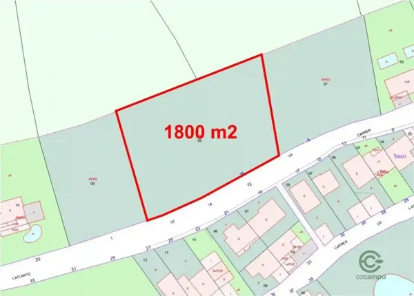 Spot image