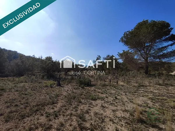 Spot image