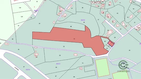 Spot image