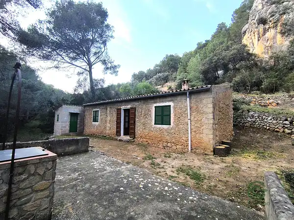 Spot image