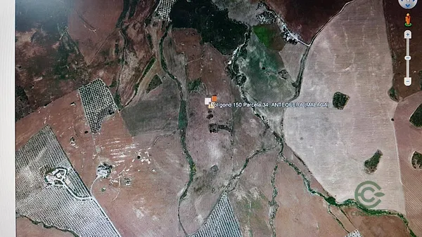 Spot image