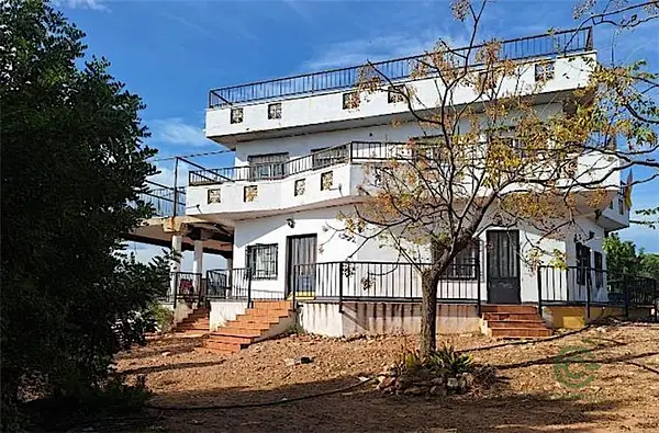 Spot image