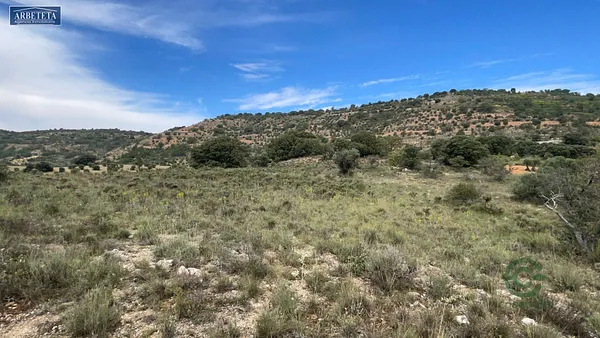 Spot image