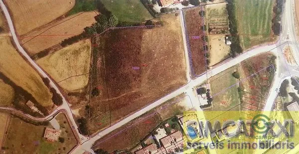 Spot image