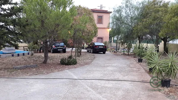 Spot image