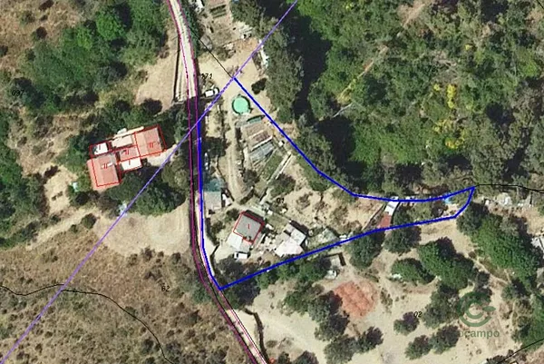 Spot image
