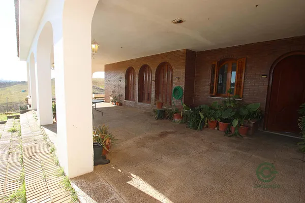 Spot image