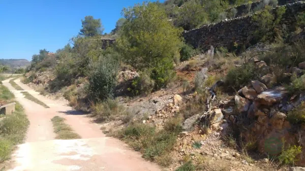 Spot image