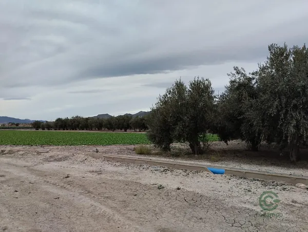 Spot image