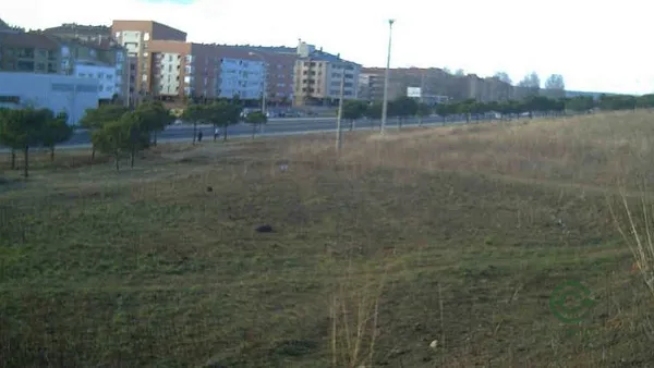 Spot image
