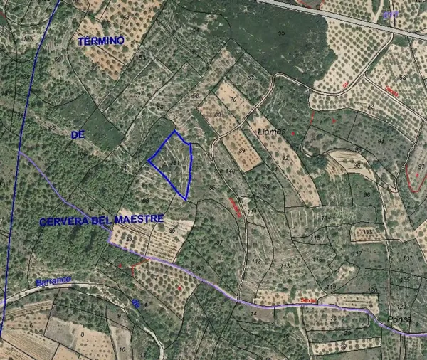 Spot image