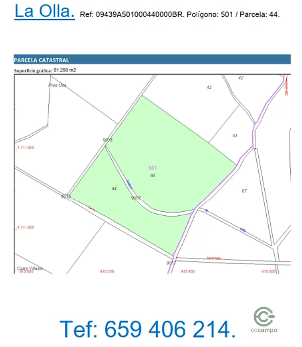 Spot image
