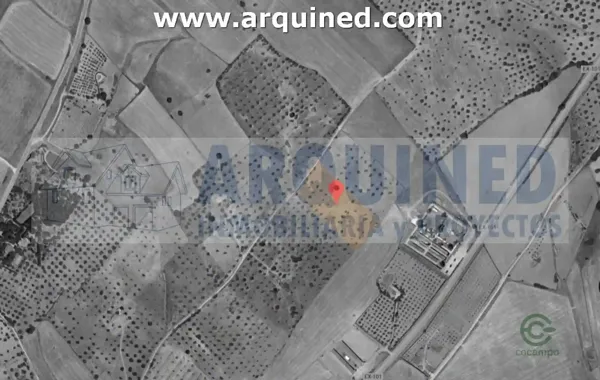 Spot image