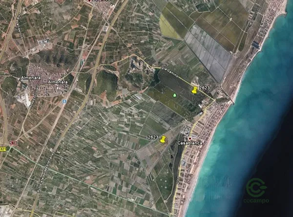 Spot image