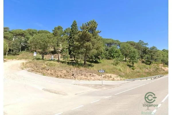 Spot image