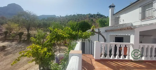 Spot image