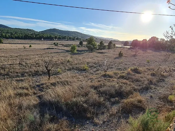 Spot image