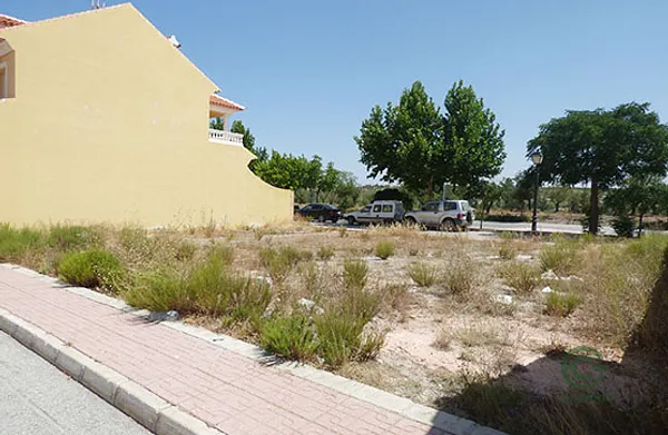 Spot image