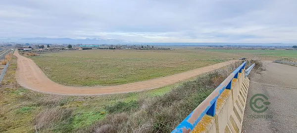 Spot image