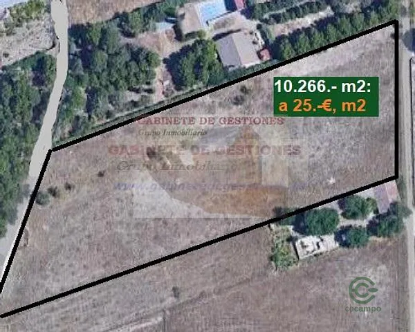 Spot image