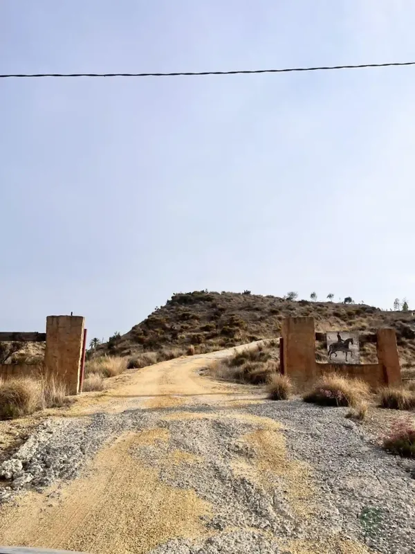 Spot image