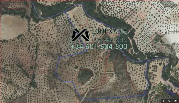 Spot image