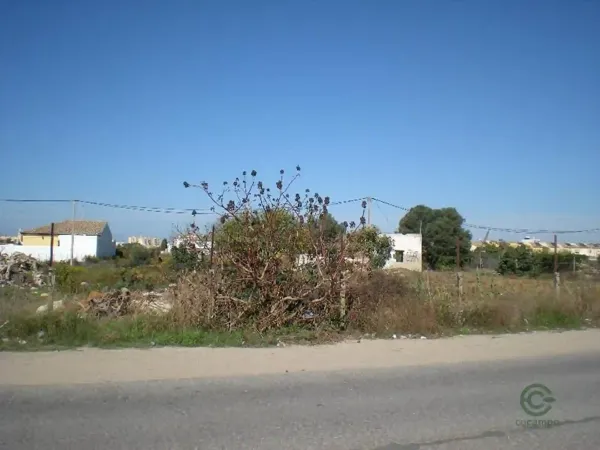 Spot image