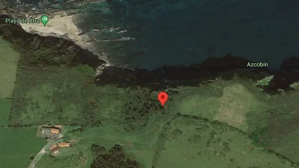 Spot image