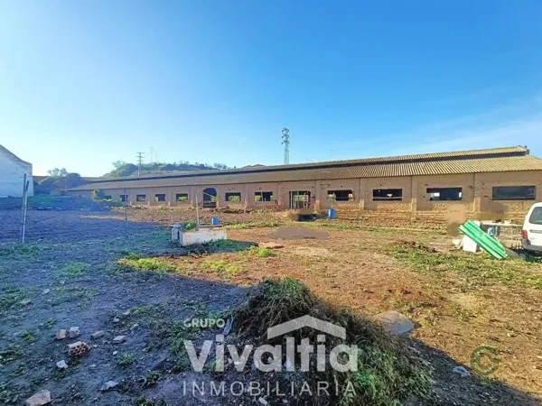 Spot image