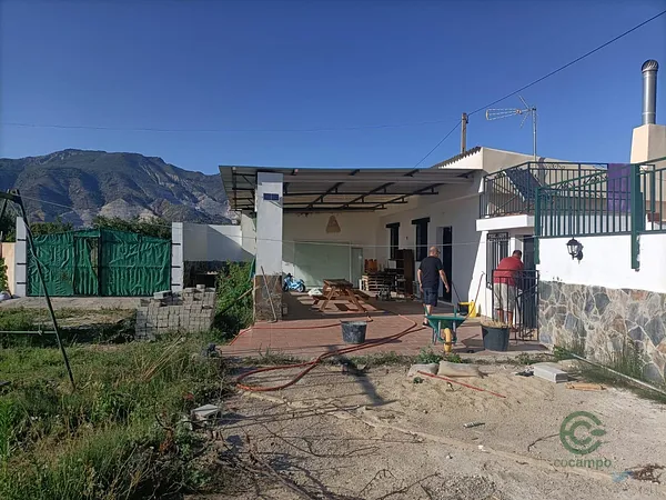 Spot image