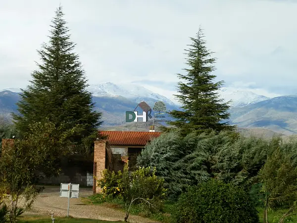 Spot image