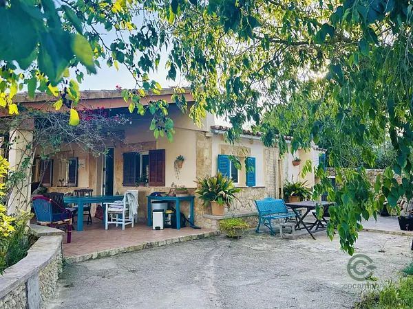 Spot image
