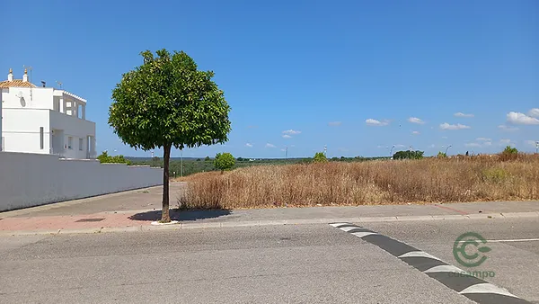 Spot image