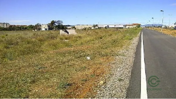 Spot image