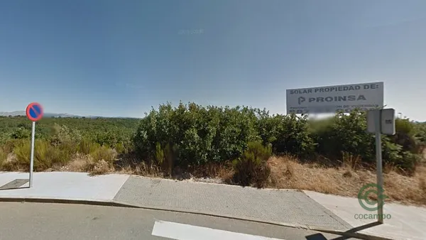 Spot image