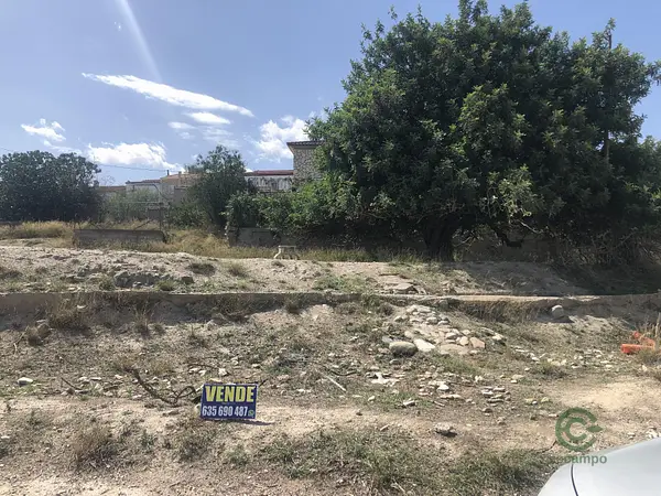 Spot image