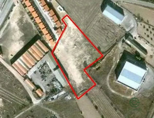 Spot image