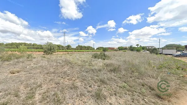 Spot image